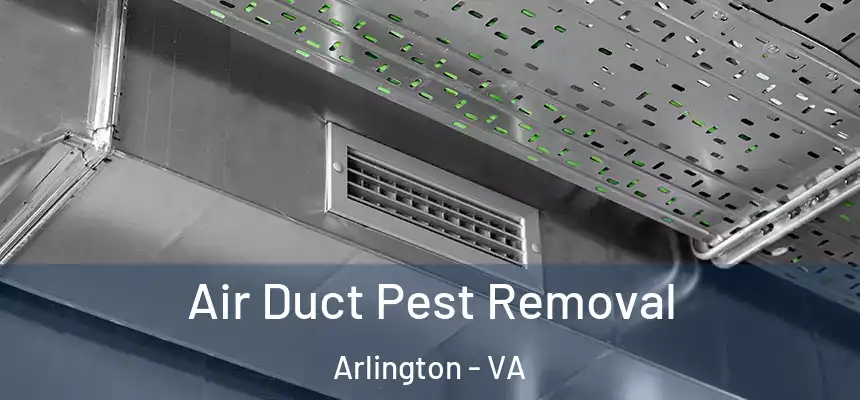Air Duct Pest Removal Arlington - VA
