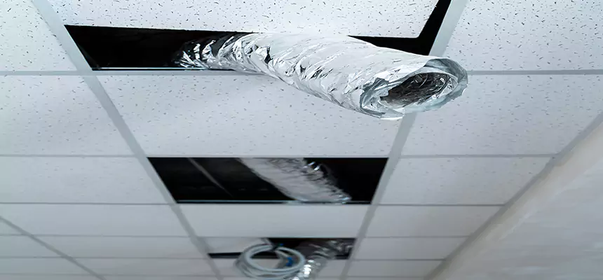 Our Air Duct Pet Hair Removal Services in Arlington, VA