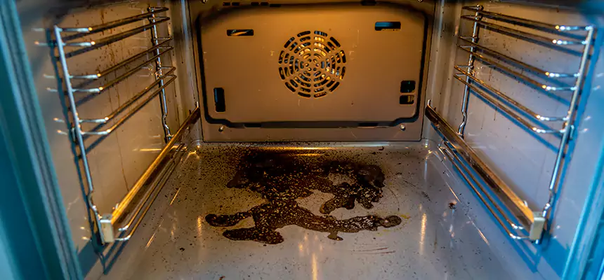 Our Dryer Vent Mold Cleaning Services in Arlington, VA