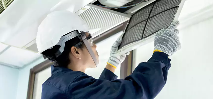 Our Mold & Mildew Removal from Air Ducts Services in Arlington, VA