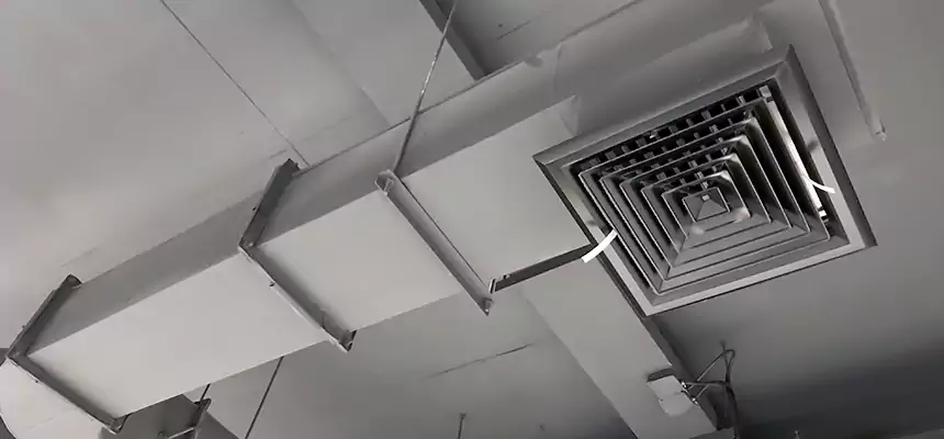 Our Pest Removal From Ducts Services in Arlington, VA