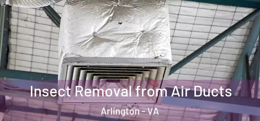 Insect Removal from Air Ducts Arlington - VA