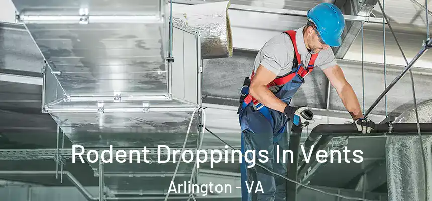Rodent Droppings In Vents Arlington - VA