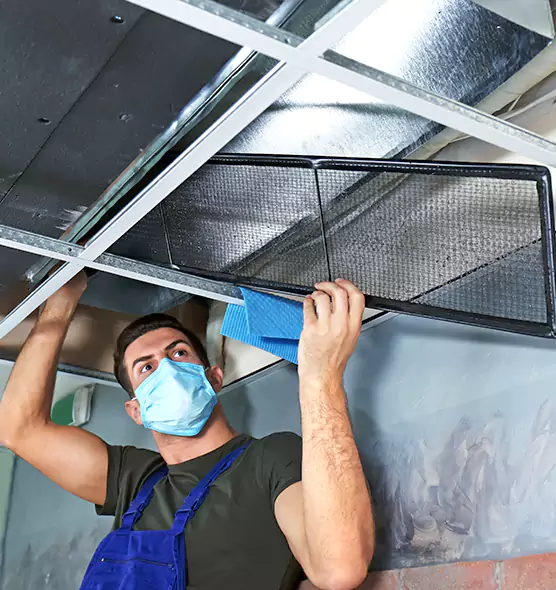 Professional Air Duct Pollen Cleaning in Arlington, VA