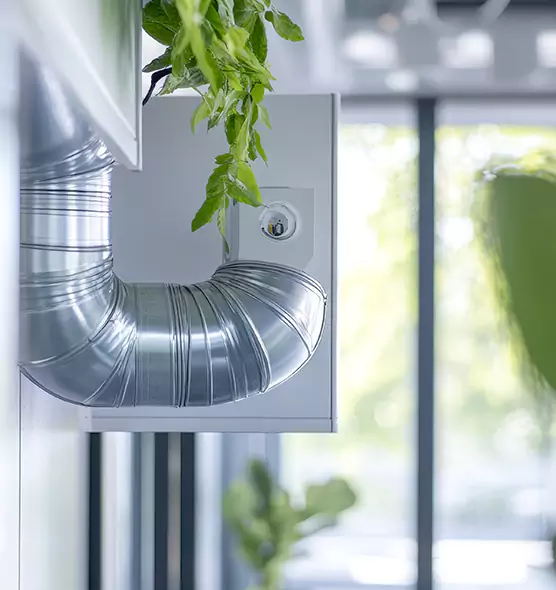 Professional Eco-Friendly Duct Cleaning Services in Arlington, VA