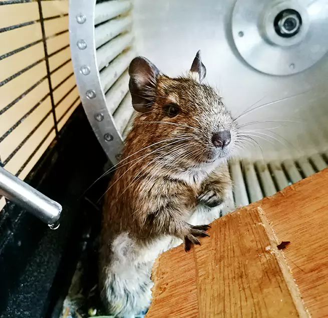 Why Homeowners & Businesses Trust Us Arlington, VA?