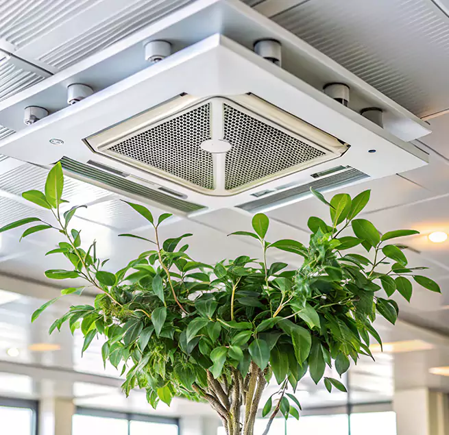 Why Homeowners & Businesses Trust Us in Arlington, VA?