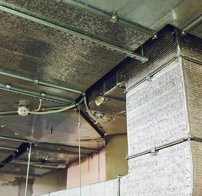 Why Homeowners & Businesses Trust Us in Arlington, VA?